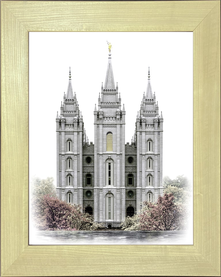 Salt Lake Temple (6x8 Black Frame)